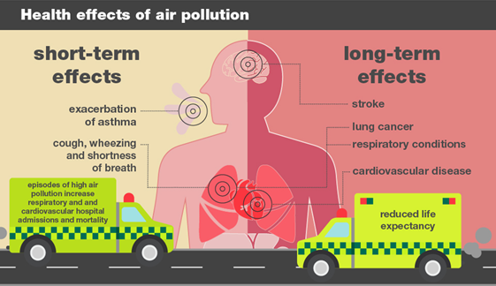 Health effects of air pollution